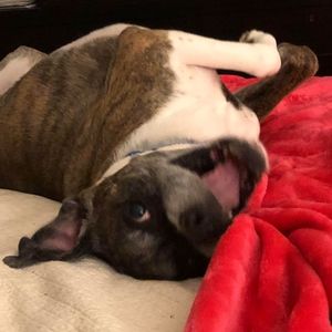 Meet your Posher, Leah